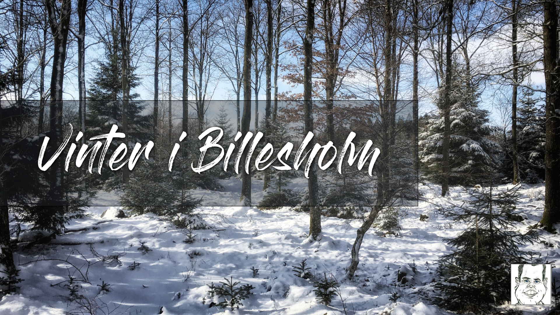 Vinterdag i Billesholm