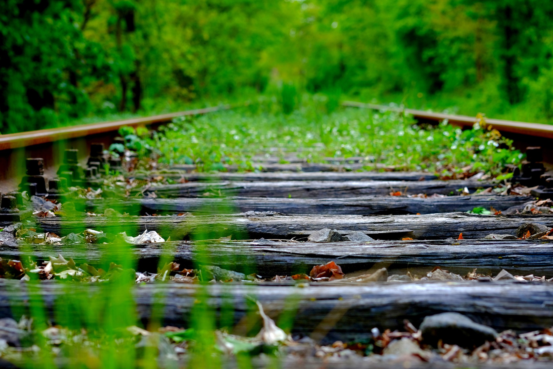 Övergivna tågvagnar i naturen någonstans i Skåne